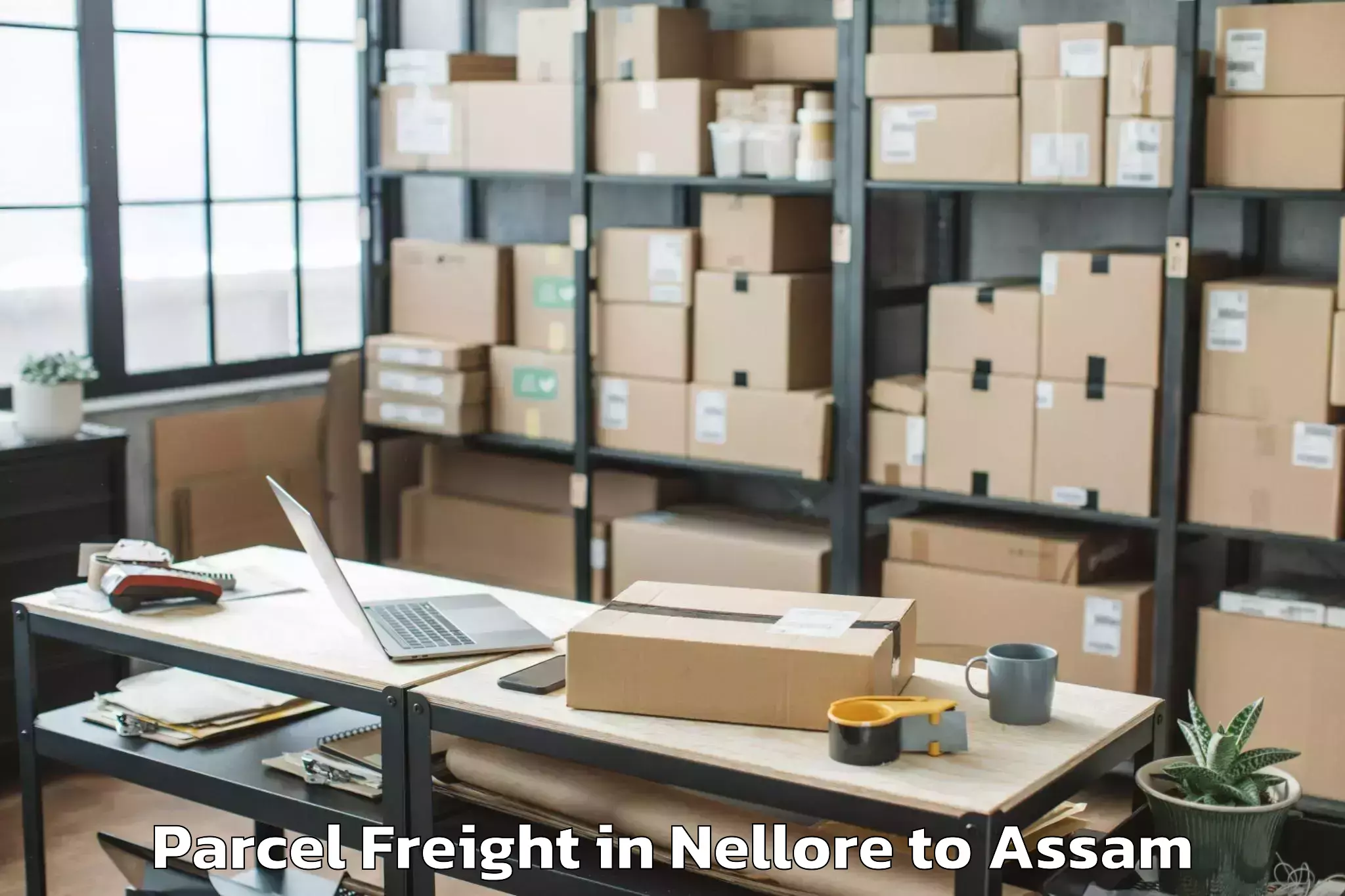 Easy Nellore to Titabar Parcel Freight Booking